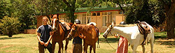 Forever Resorts Ruby Cliff Horse Ranch